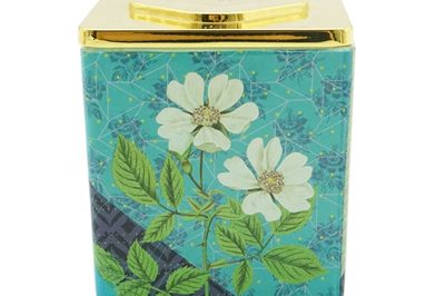 aluminum tins (14)